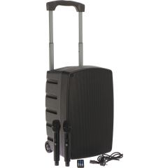 Algam Audio TR12-BT - Enceinte mobile sur batterie avec 2 micros sans fil, Bluetooth - Vue 1